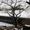 jnfc_1983_44330.jpg