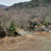 jnfc_1999_127131.jpg