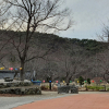 jnfc_1999_127132.jpg