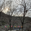 jnfc_1999_127134.jpg