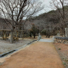 jnfc_1999_127136.jpg