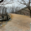 jnfc_1999_127139.jpg