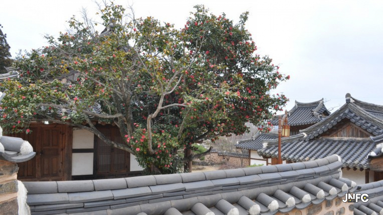 jnfc_2010_130991.jpg