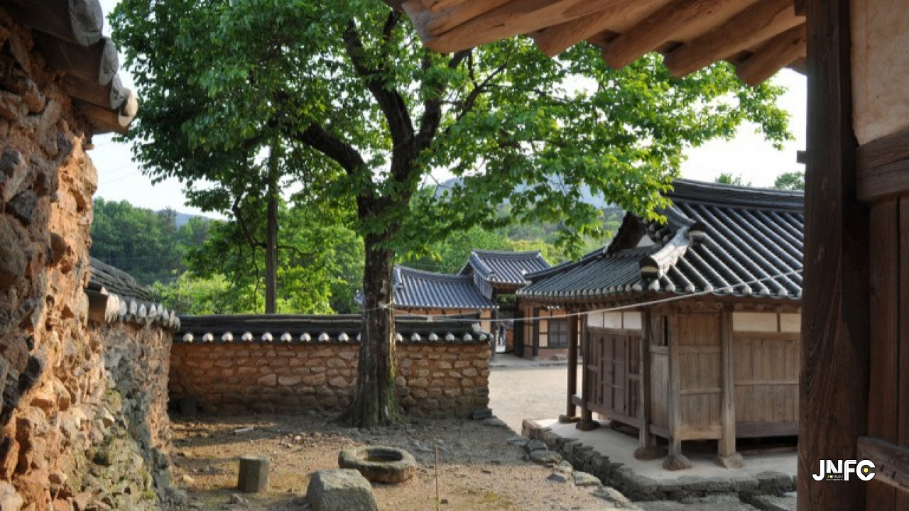 jnfc_2011_131004.jpg