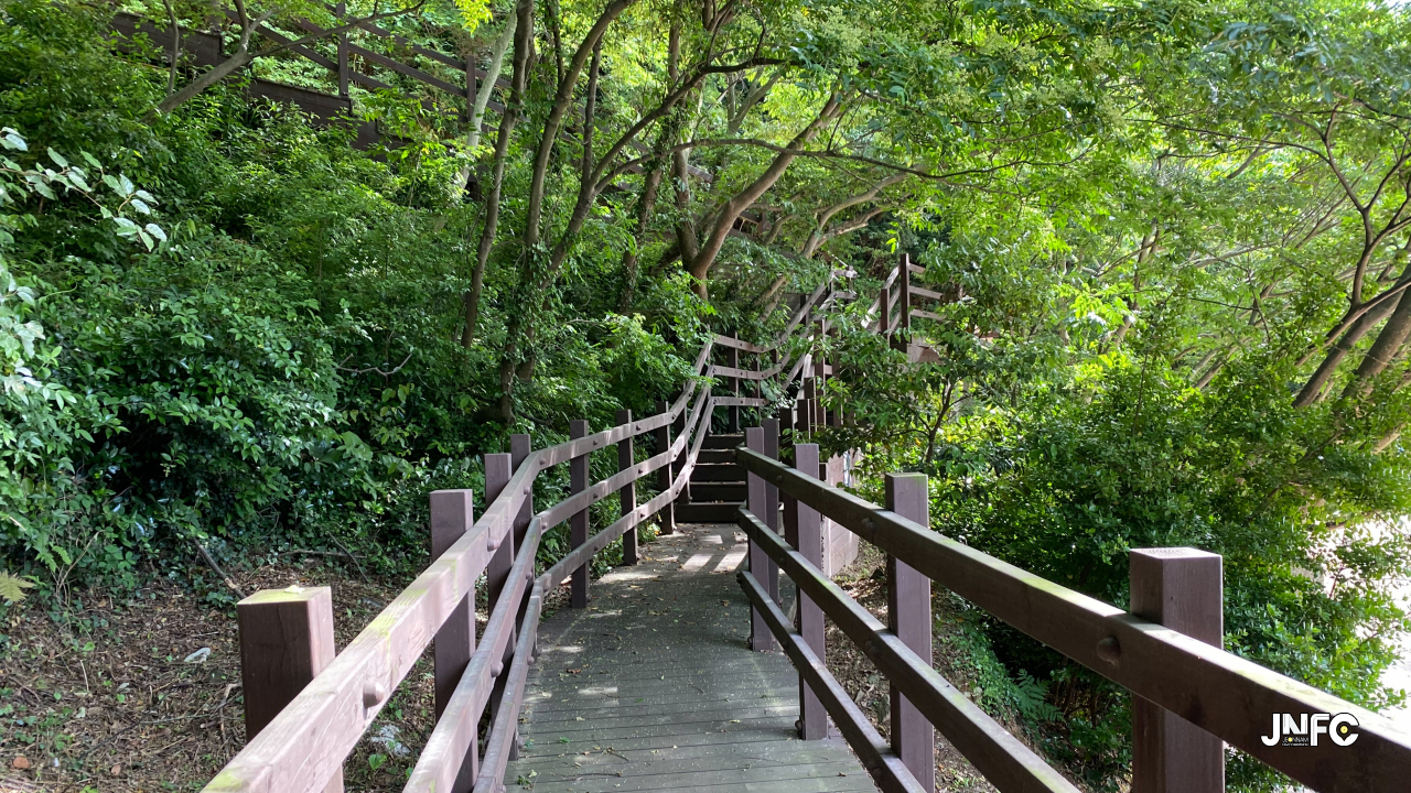jnfc_2027_131540.jpg