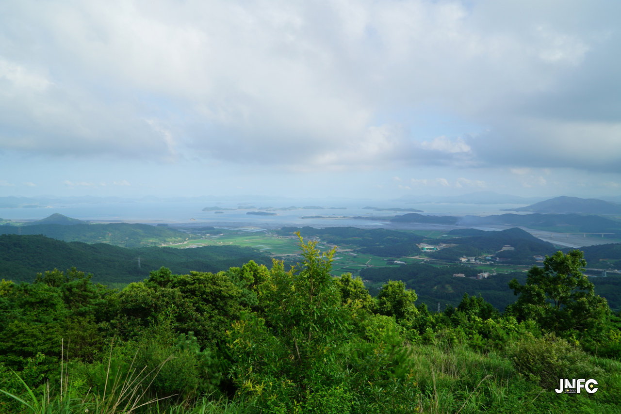 jnfc_211_126241.jpg