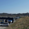 jnfc_256_39097.jpg