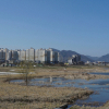 jnfc_256_39104.jpg