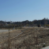 jnfc_256_39111.jpg