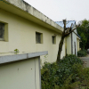 jnfc_26_802.jpg