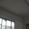 jnfc_26_809.jpg