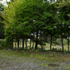 jnfc_26_822.jpg