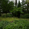 jnfc_26_851.jpg