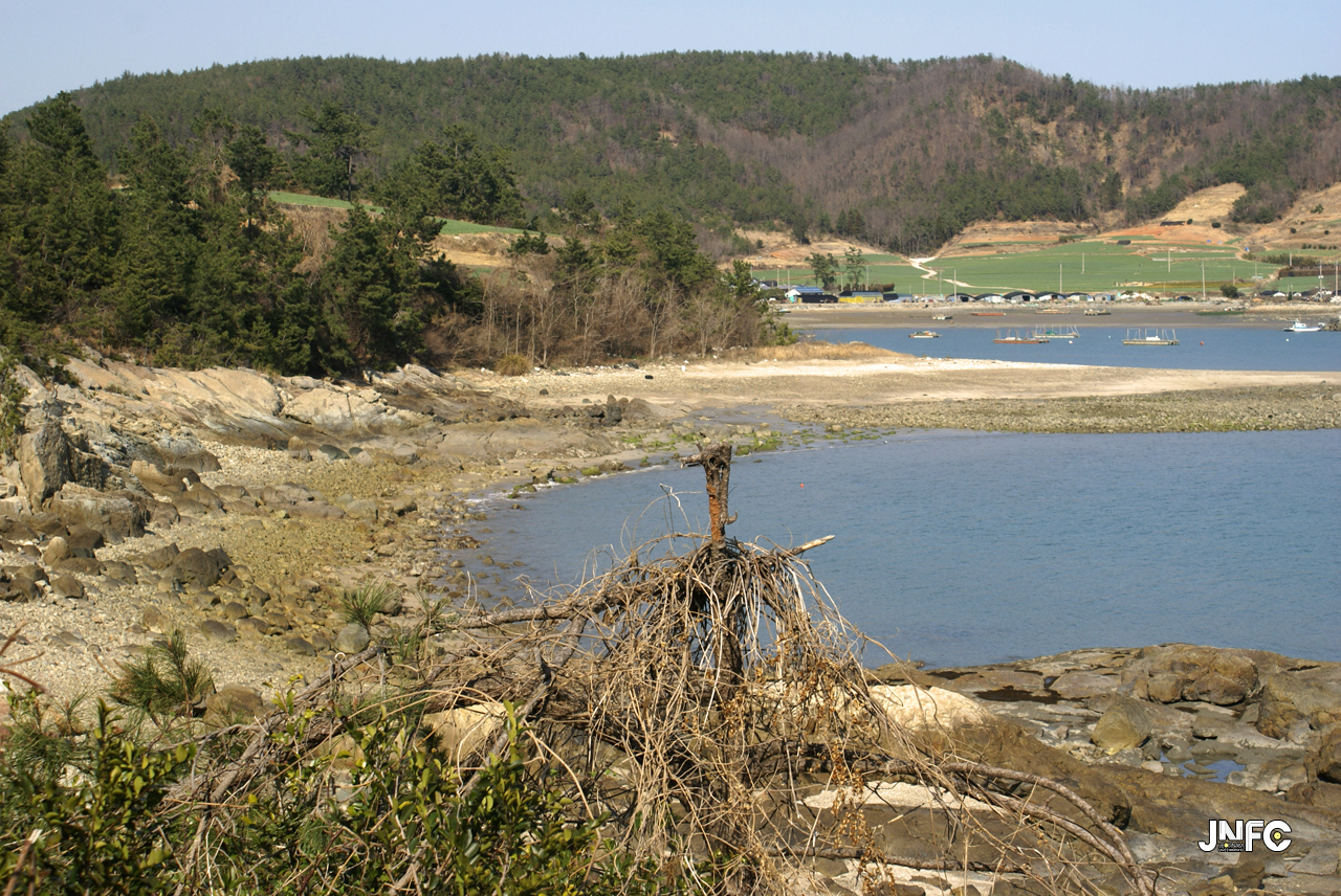 jnfc_27_130791.jpg