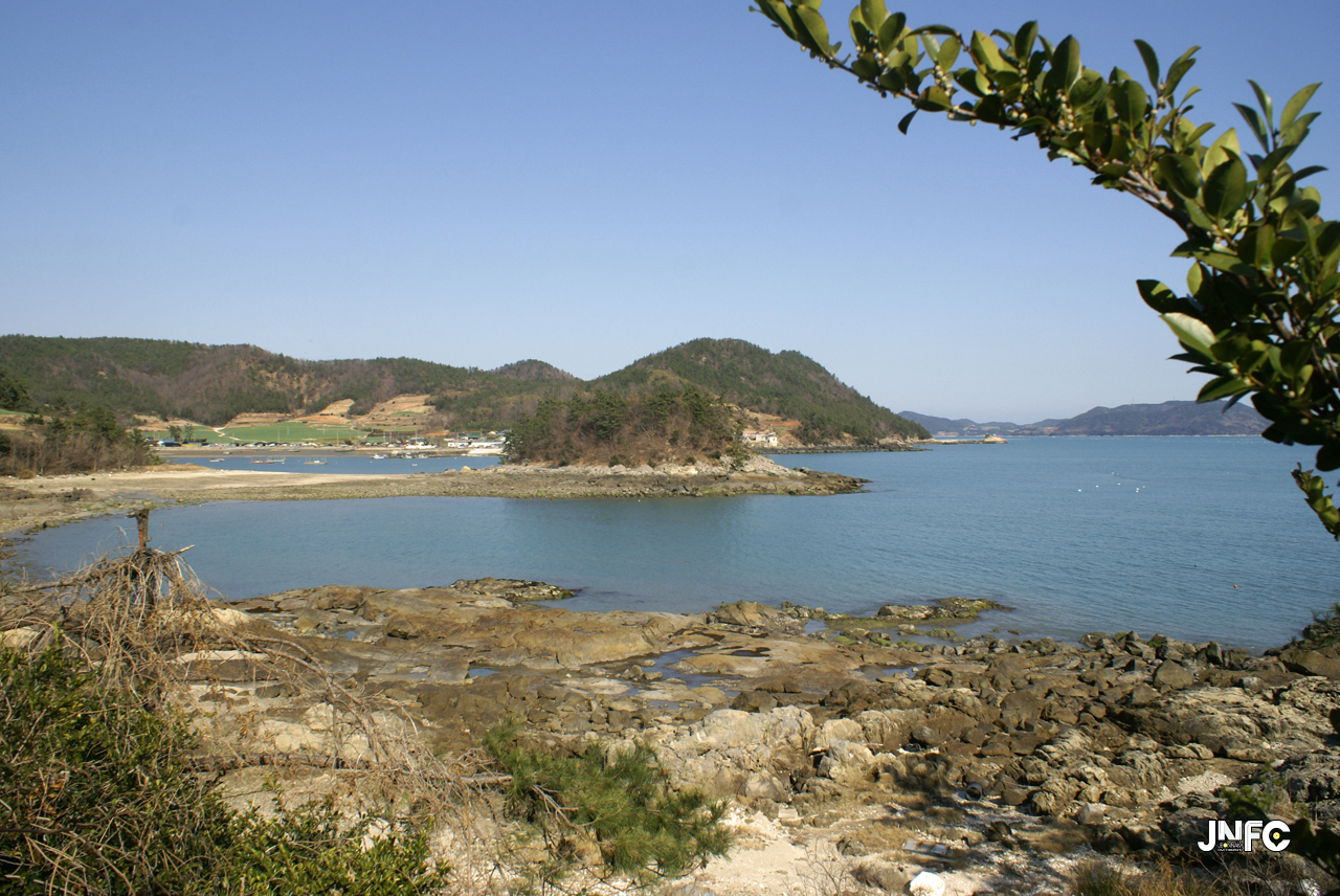 jnfc_27_130792.jpg