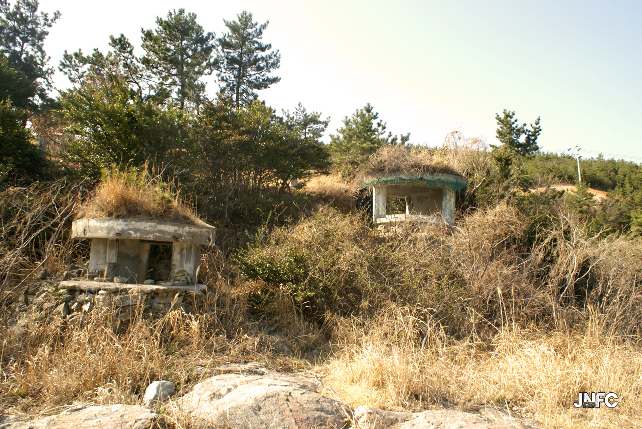 jnfc_27_130794.jpg