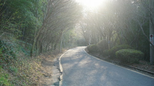 죽도봉 산책로