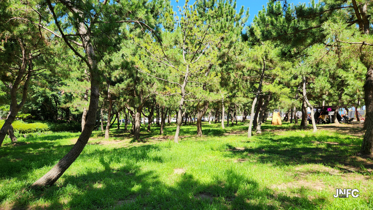 jnfc_291_134334.jpg