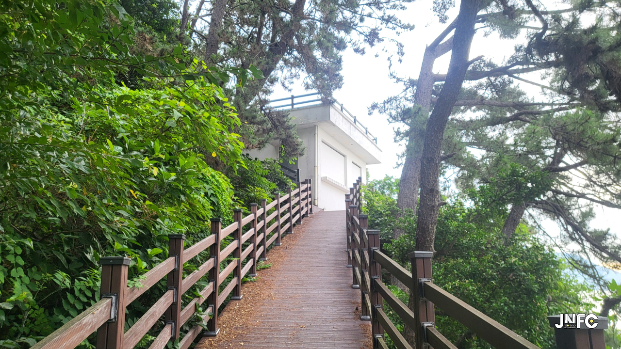jnfc_296_157726.jpg