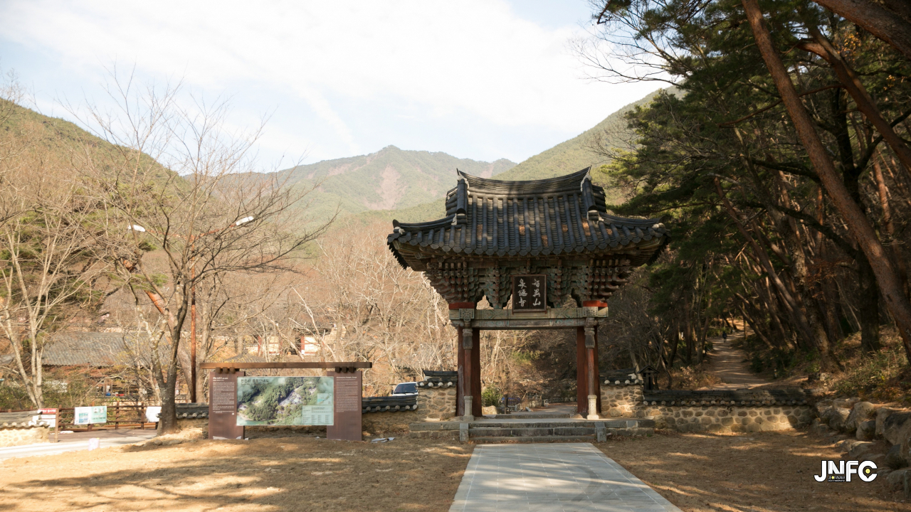 jnfc_297_153595.jpg