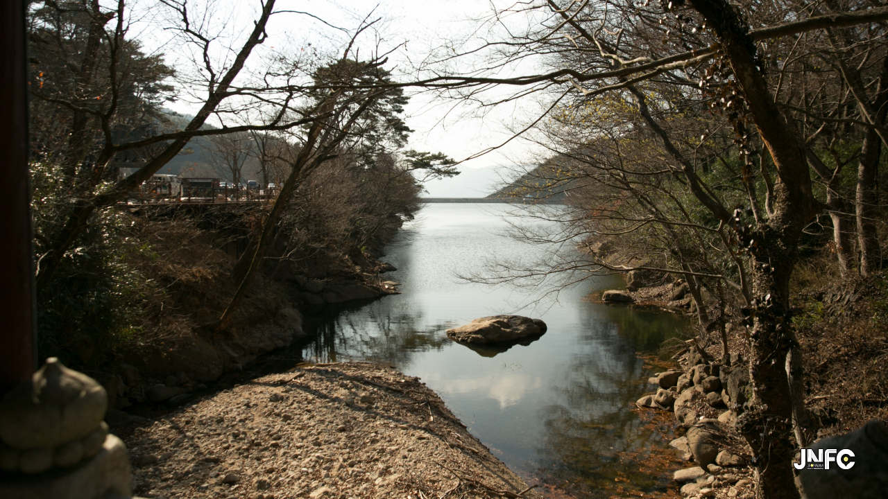 jnfc_297_153596.jpg