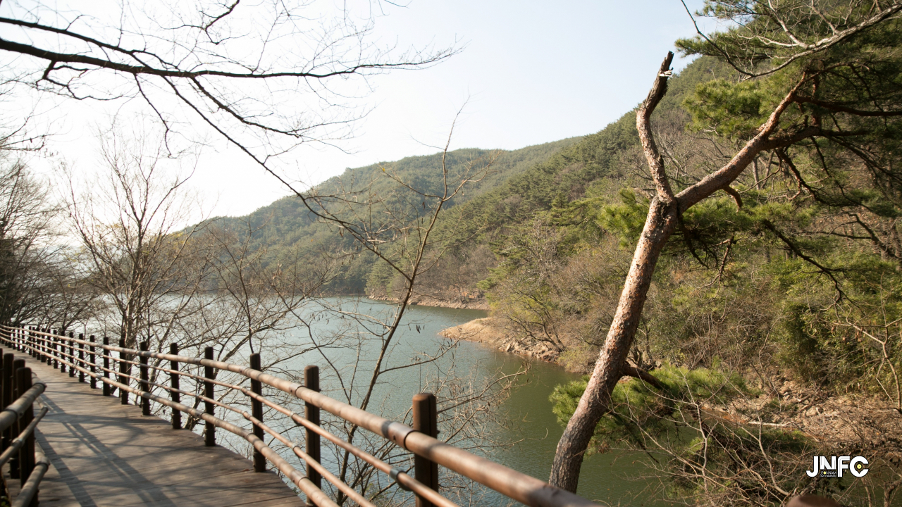 jnfc_297_153598.jpg