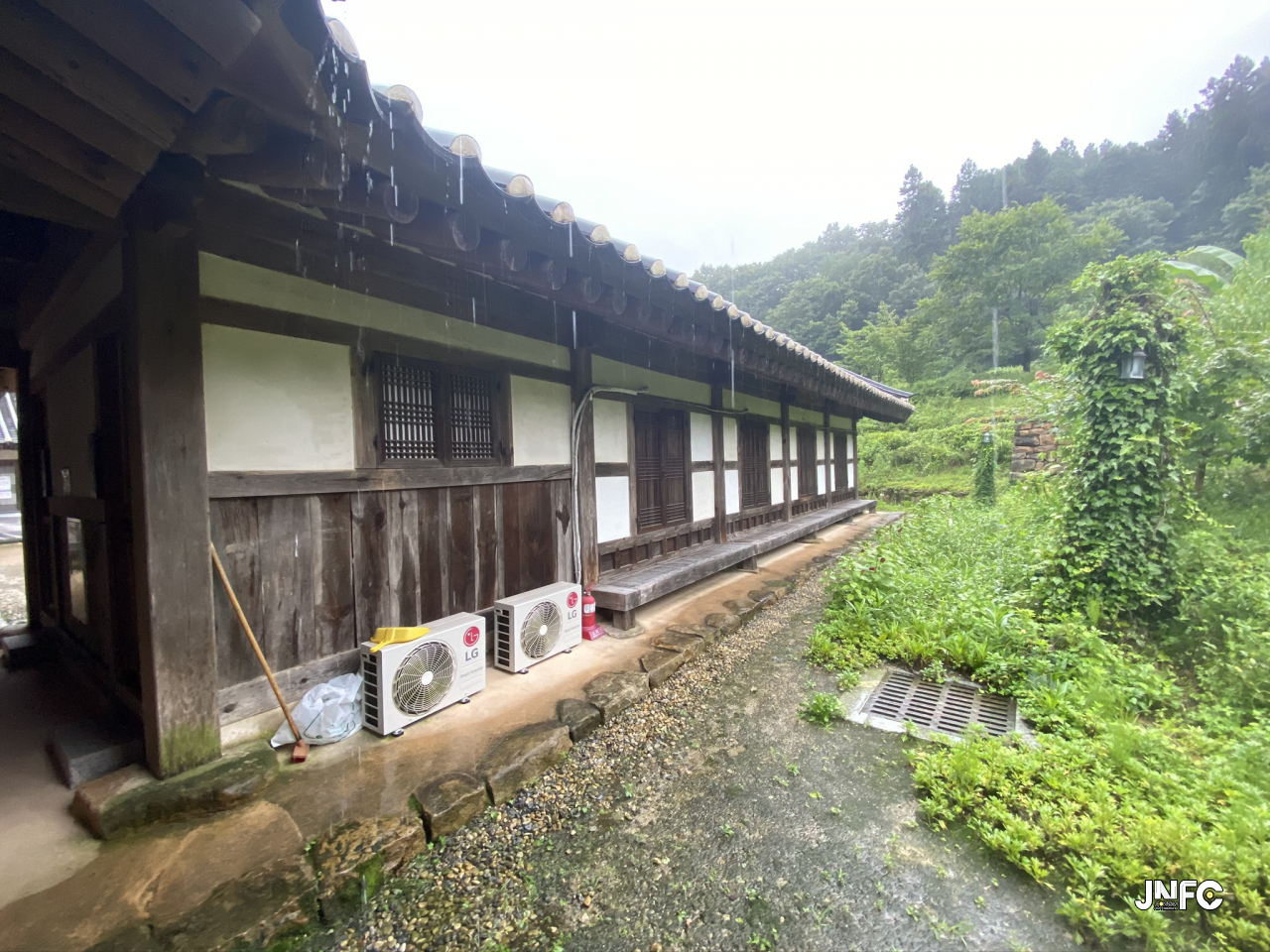 jnfc_3089_126076.jpeg