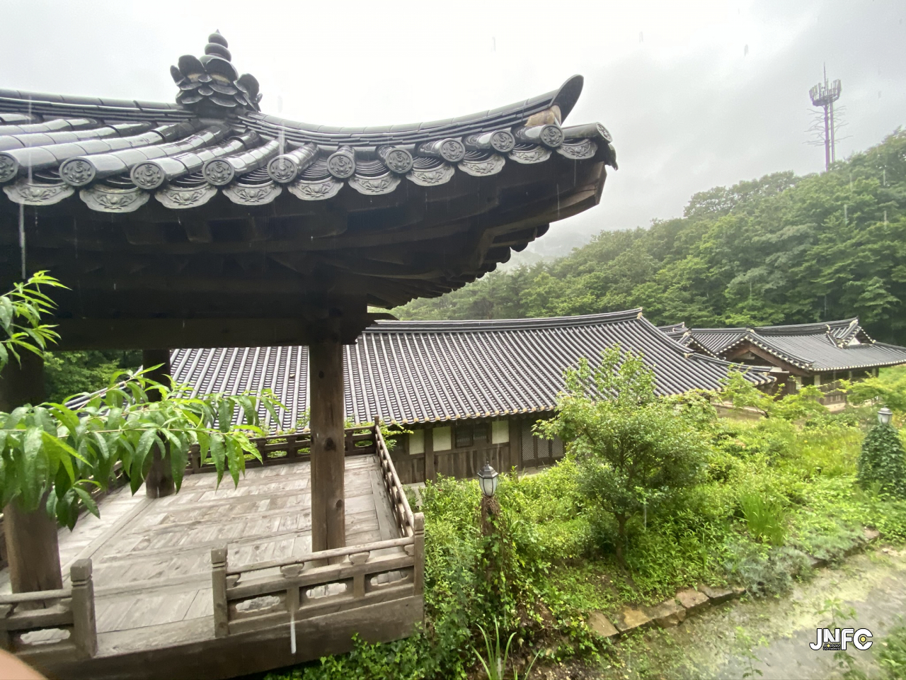 jnfc_3089_126090.jpeg