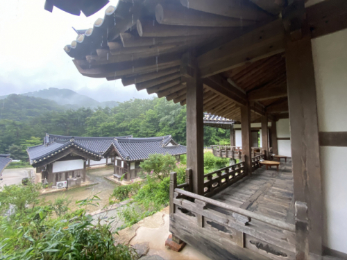 순천전통야생차체험관