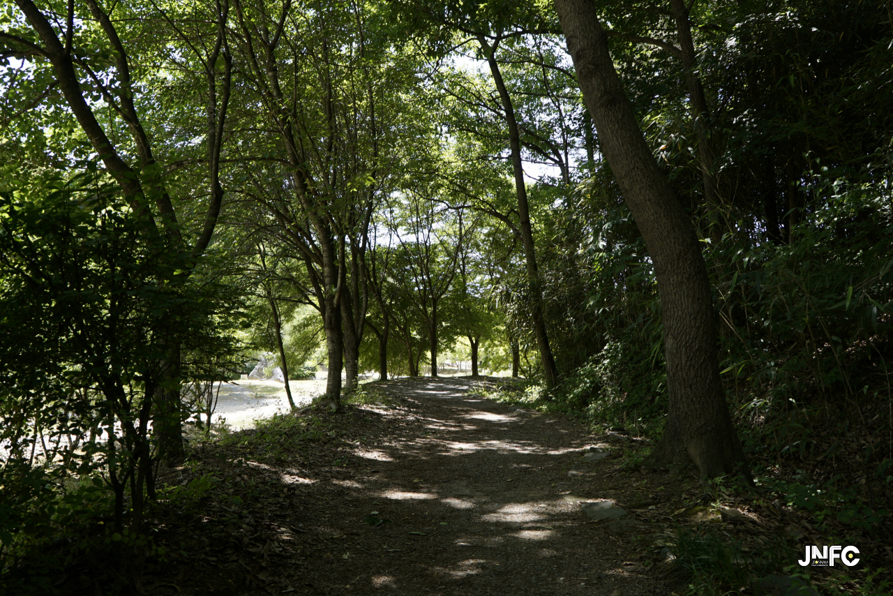 jnfc_328_131830.jpg