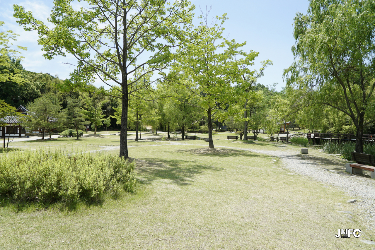 jnfc_328_131839.jpg