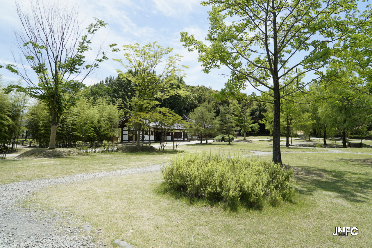 jnfc_328_131841.jpg