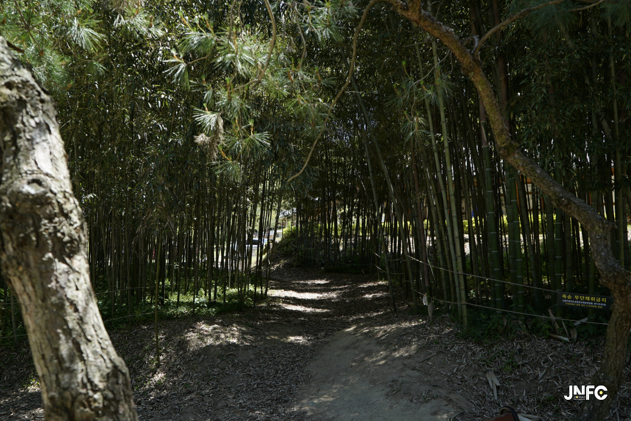 jnfc_328_131844.jpg