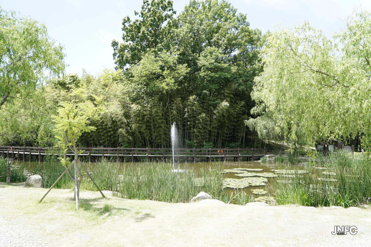 jnfc_328_131845.jpg