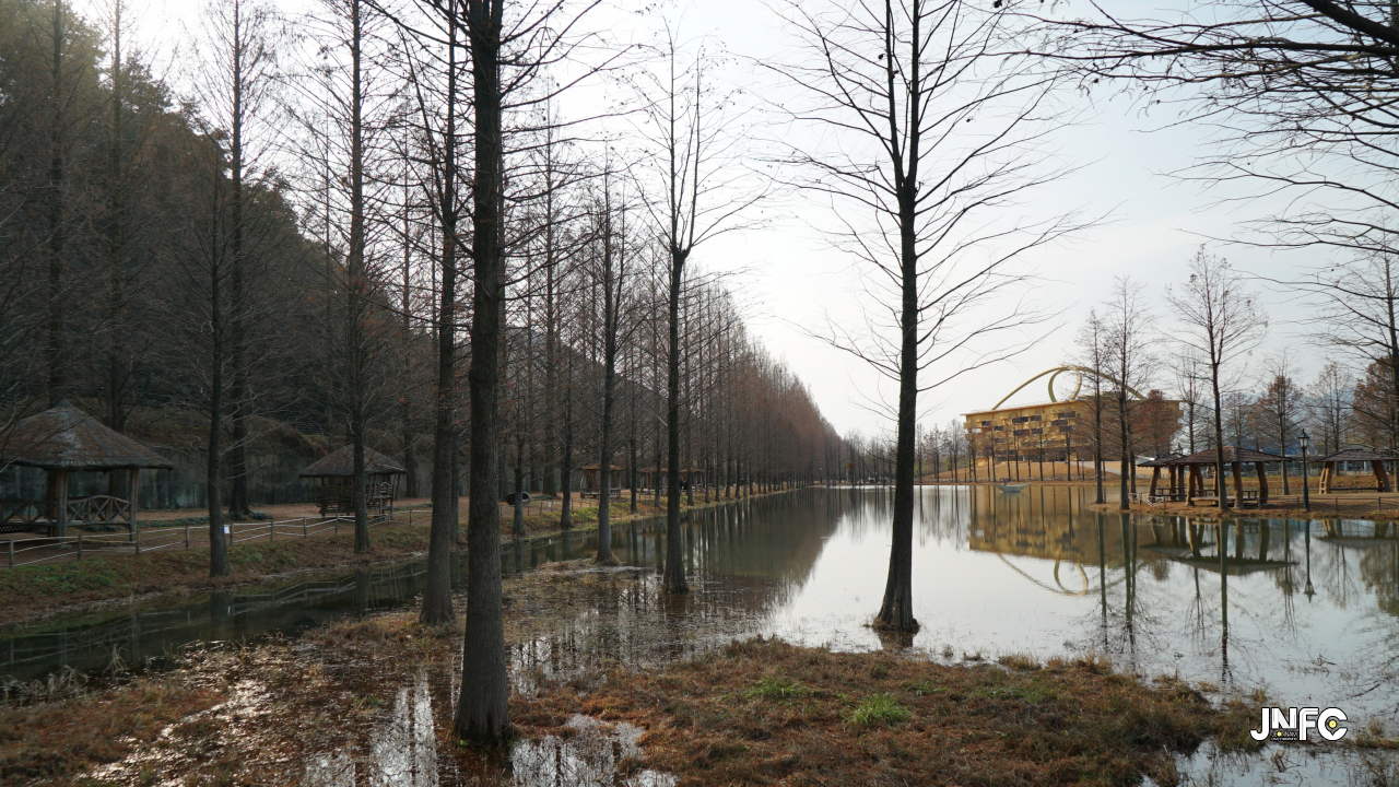 jnfc_347_131856.jpg