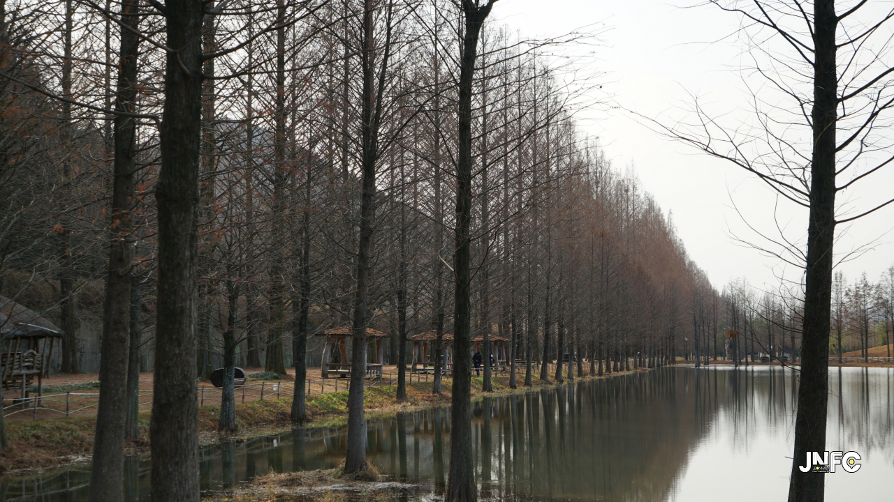 jnfc_347_131857.jpg