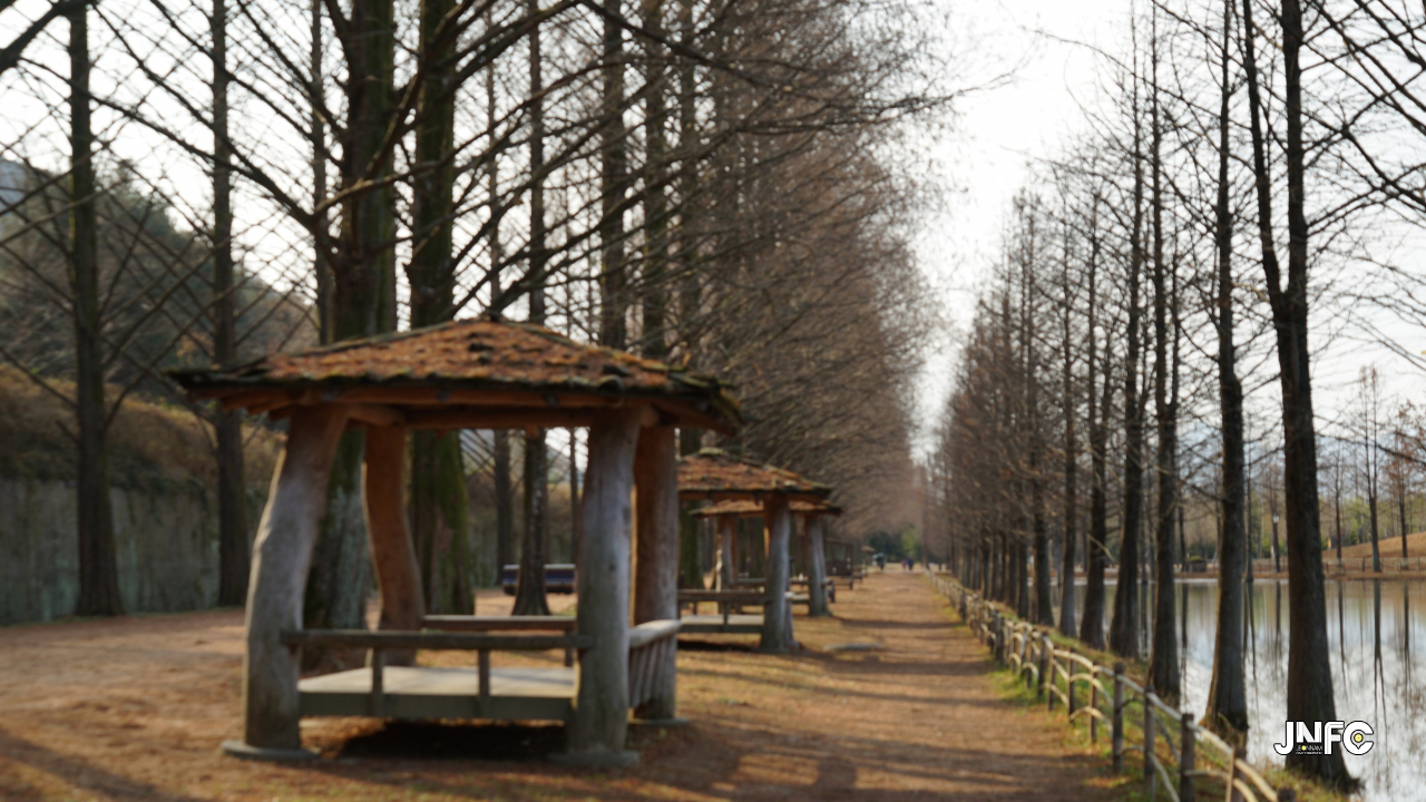 jnfc_347_131859.jpg