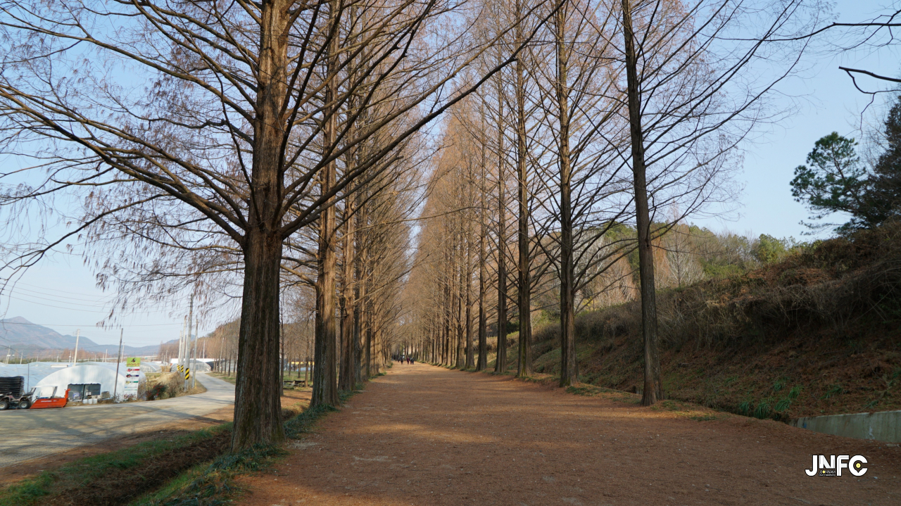 jnfc_347_131864.jpg