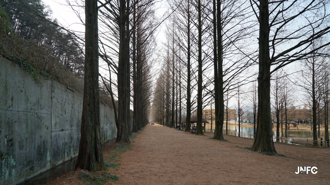 jnfc_347_131865.jpg