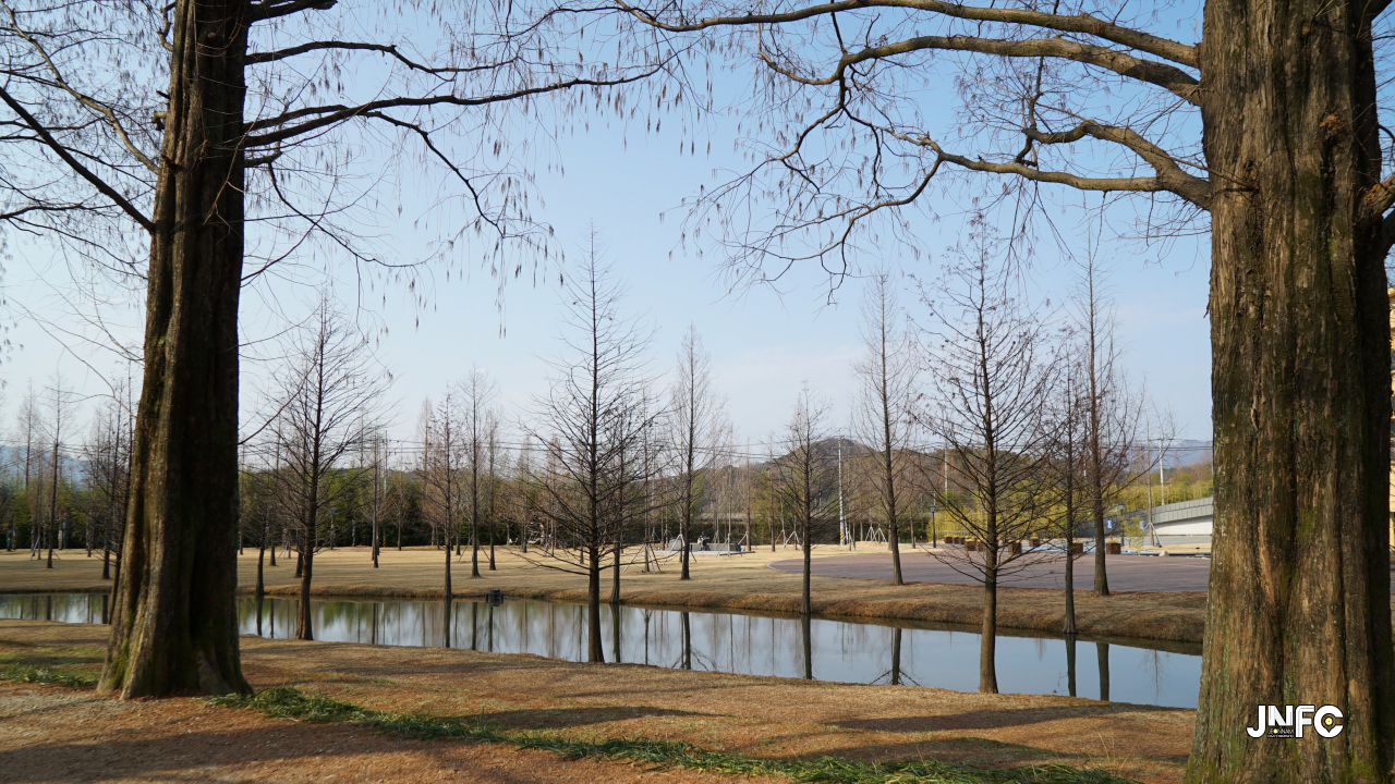 jnfc_347_131868.jpg