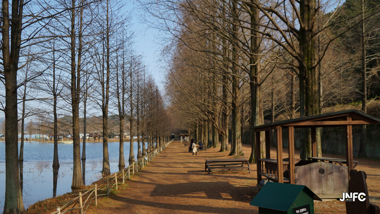 jnfc_347_131869.jpg