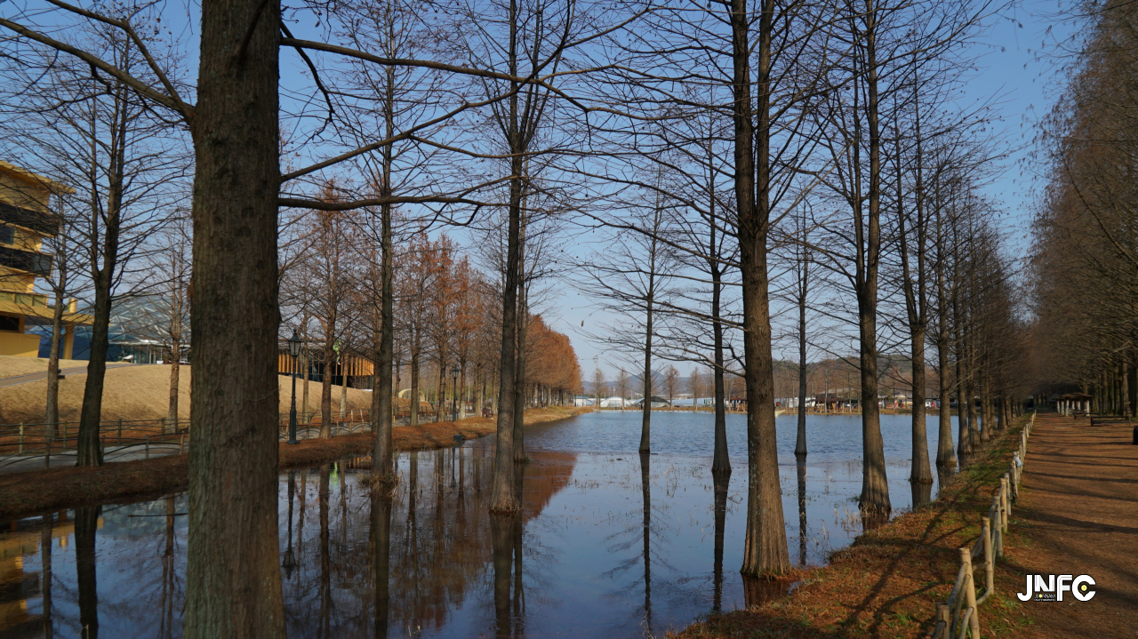 jnfc_347_131872.jpg