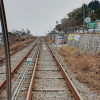 jnfc_3855_80428.jpg
