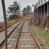 jnfc_3855_80429.jpg