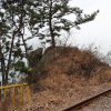 jnfc_3855_80431.jpg