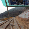 jnfc_3855_80433.jpg