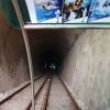 jnfc_3855_80436.jpg