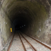 jnfc_3855_80440.jpg
