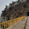 jnfc_3855_80449.jpg