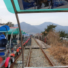 jnfc_3855_80453.jpg